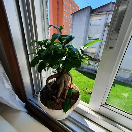 Apartamento Amigos Y Familias